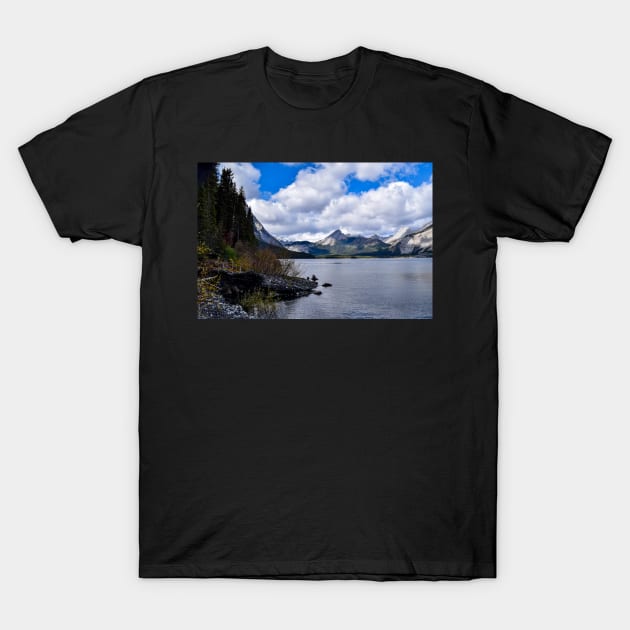 Mountain Scenes. T-Shirt by CanadianWild418